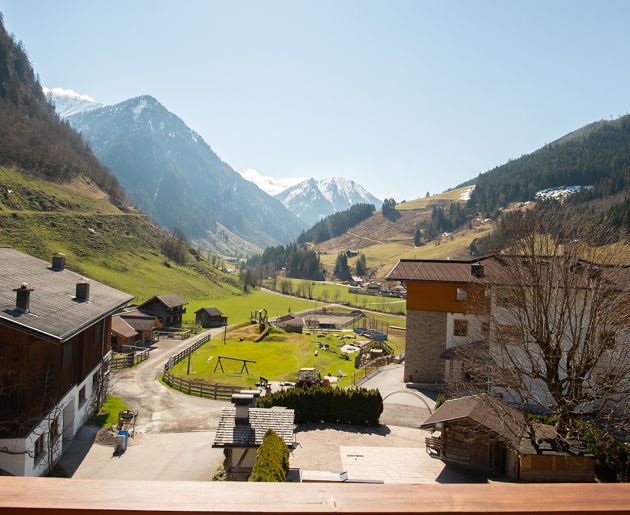 Aussicht Doppelzimmer Krokus